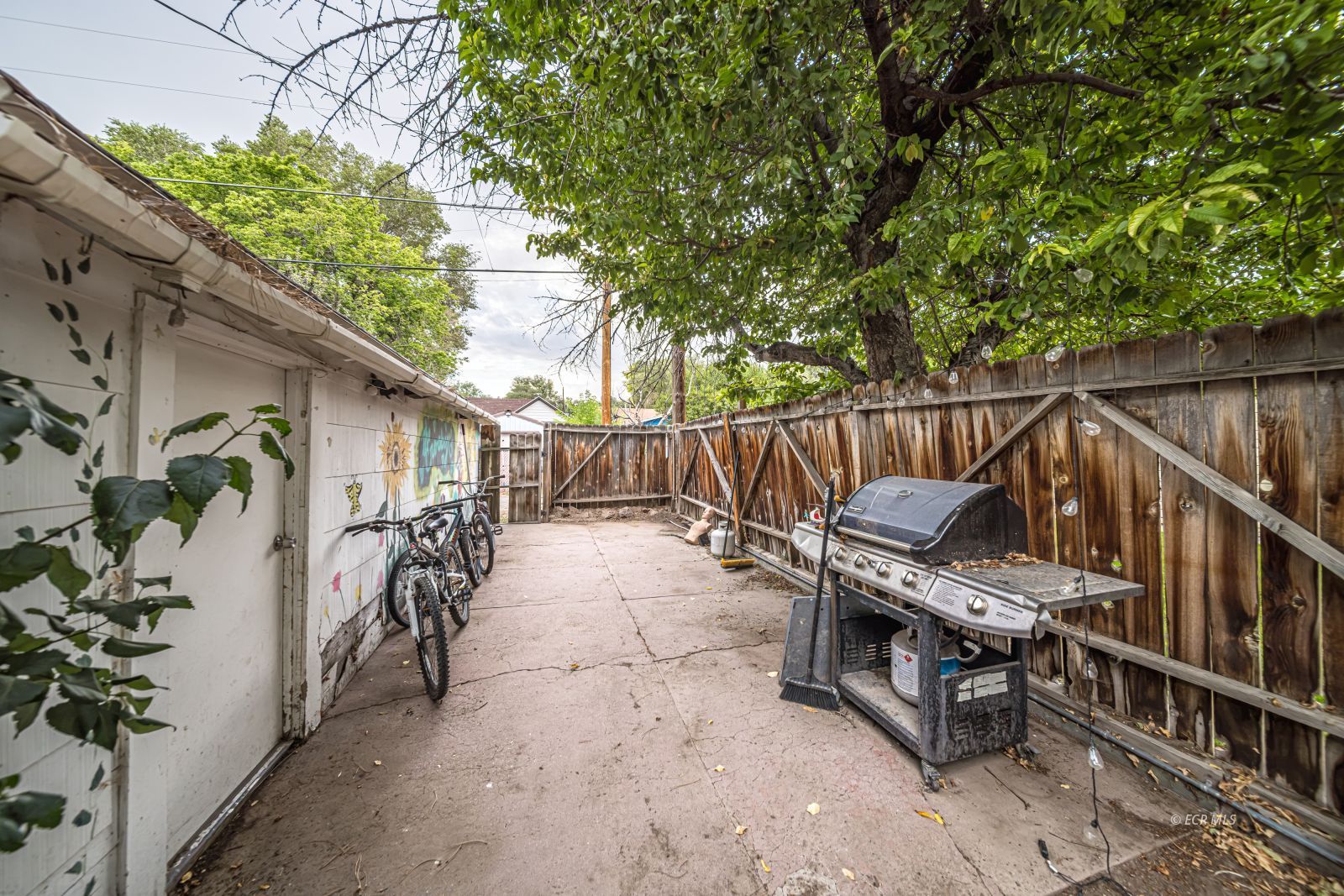 841 Pine Street Property Photo 21