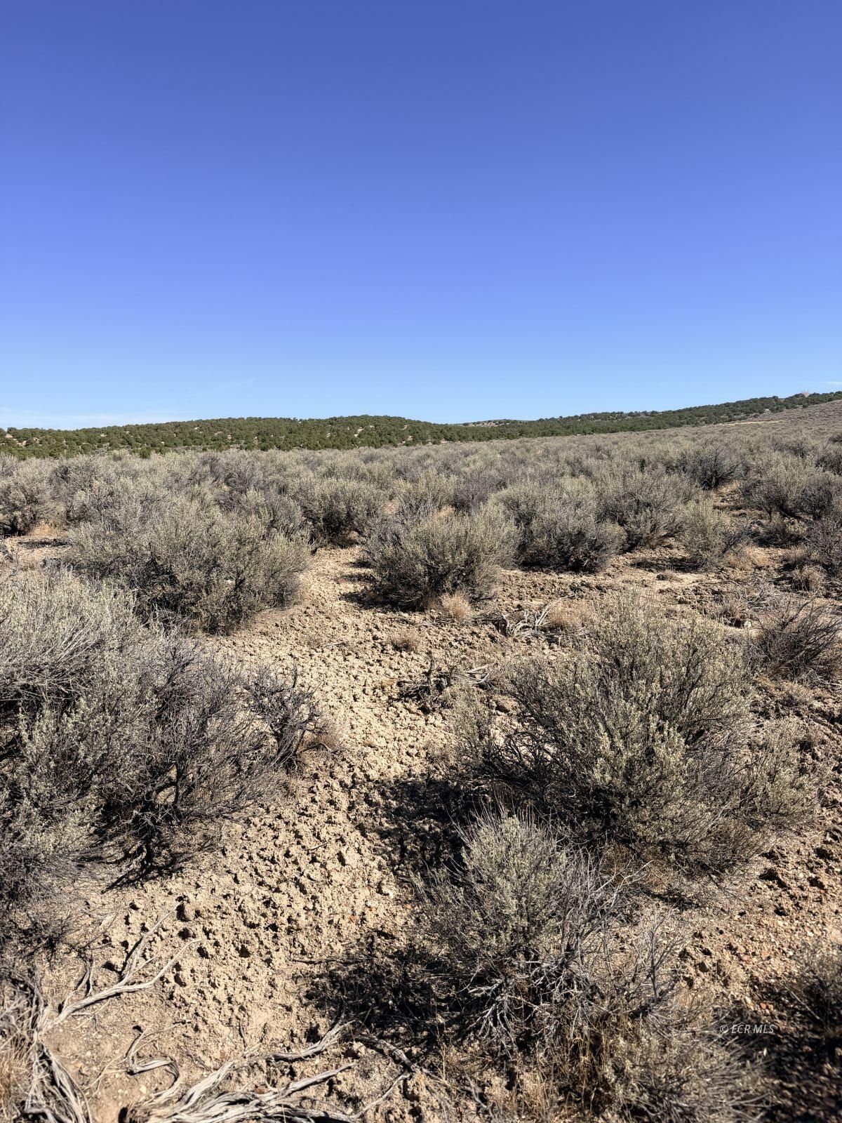 2.06 Acres O'neal Avenue Property Photo 3
