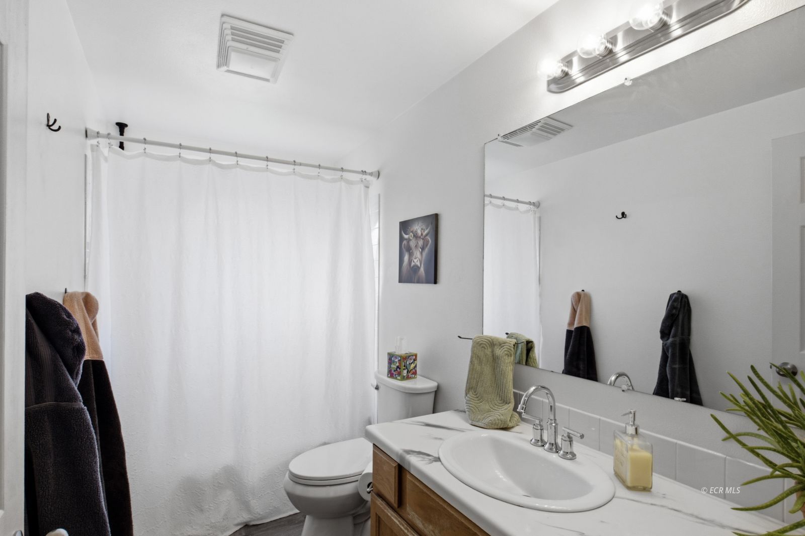 807 Hogan Street Property Photo 21