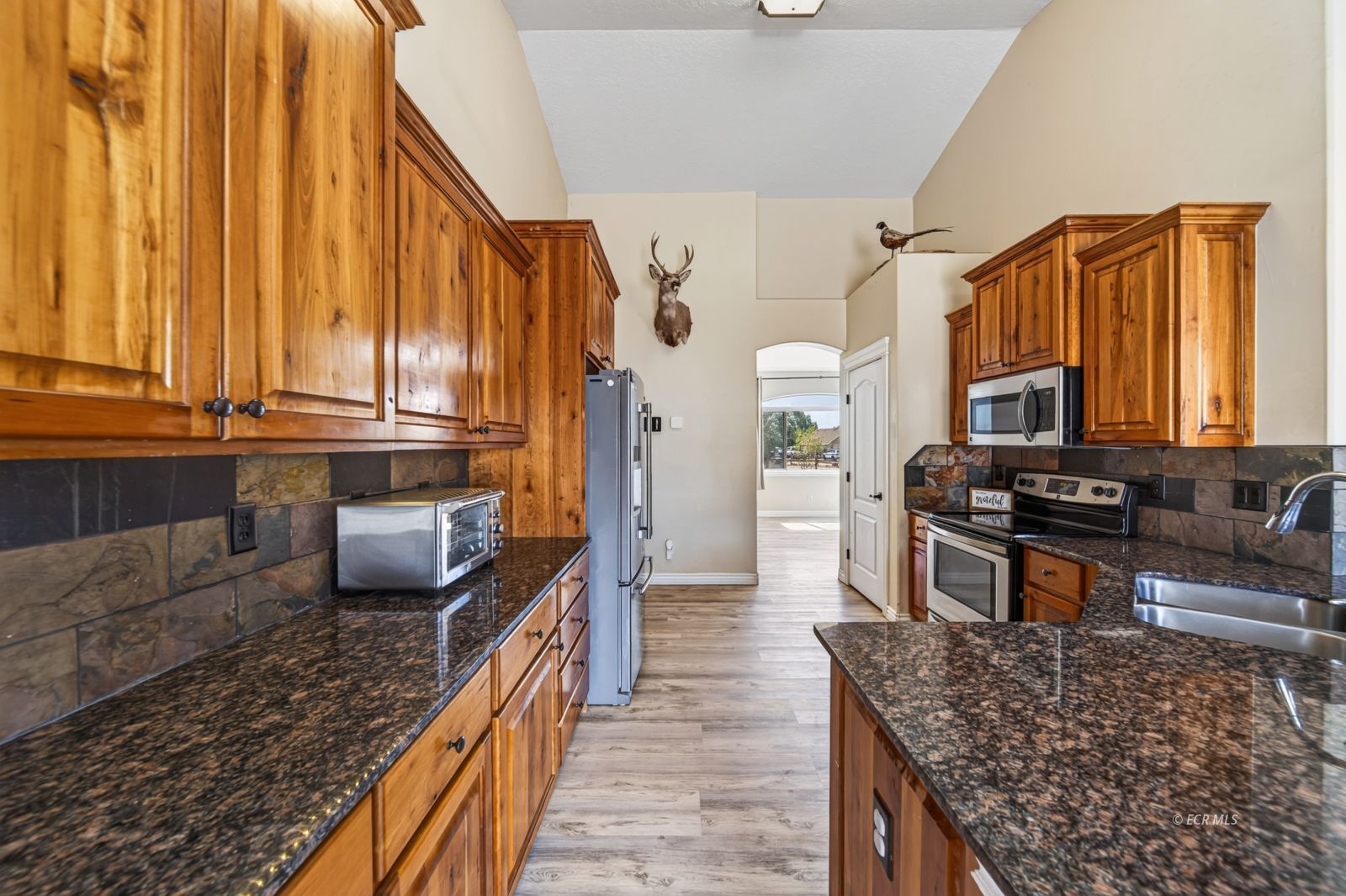 1182 Dry Creek Trail Property Photo 10