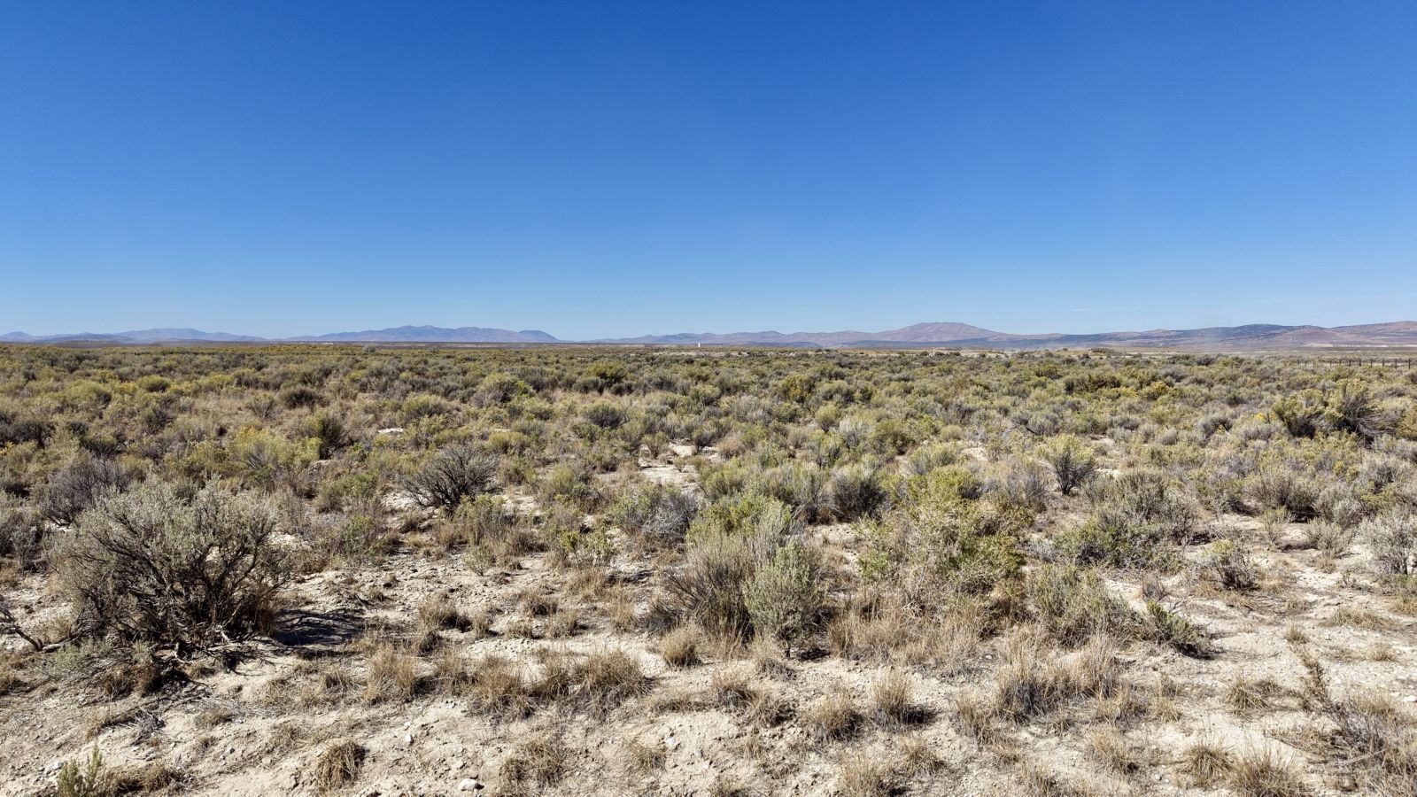 717 Diamondback Drive Property Photo 14
