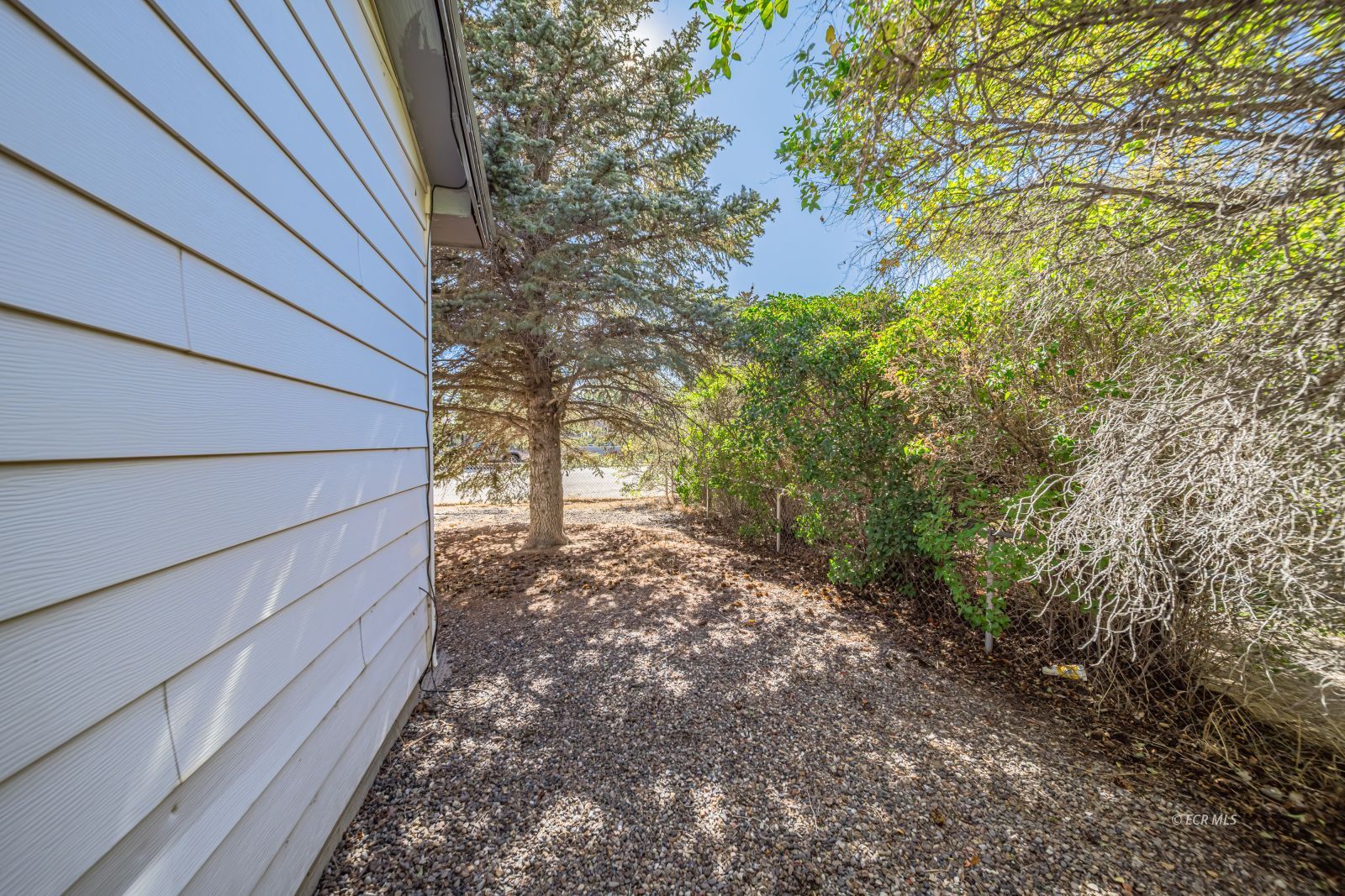 217 4th Street Property Photo 7