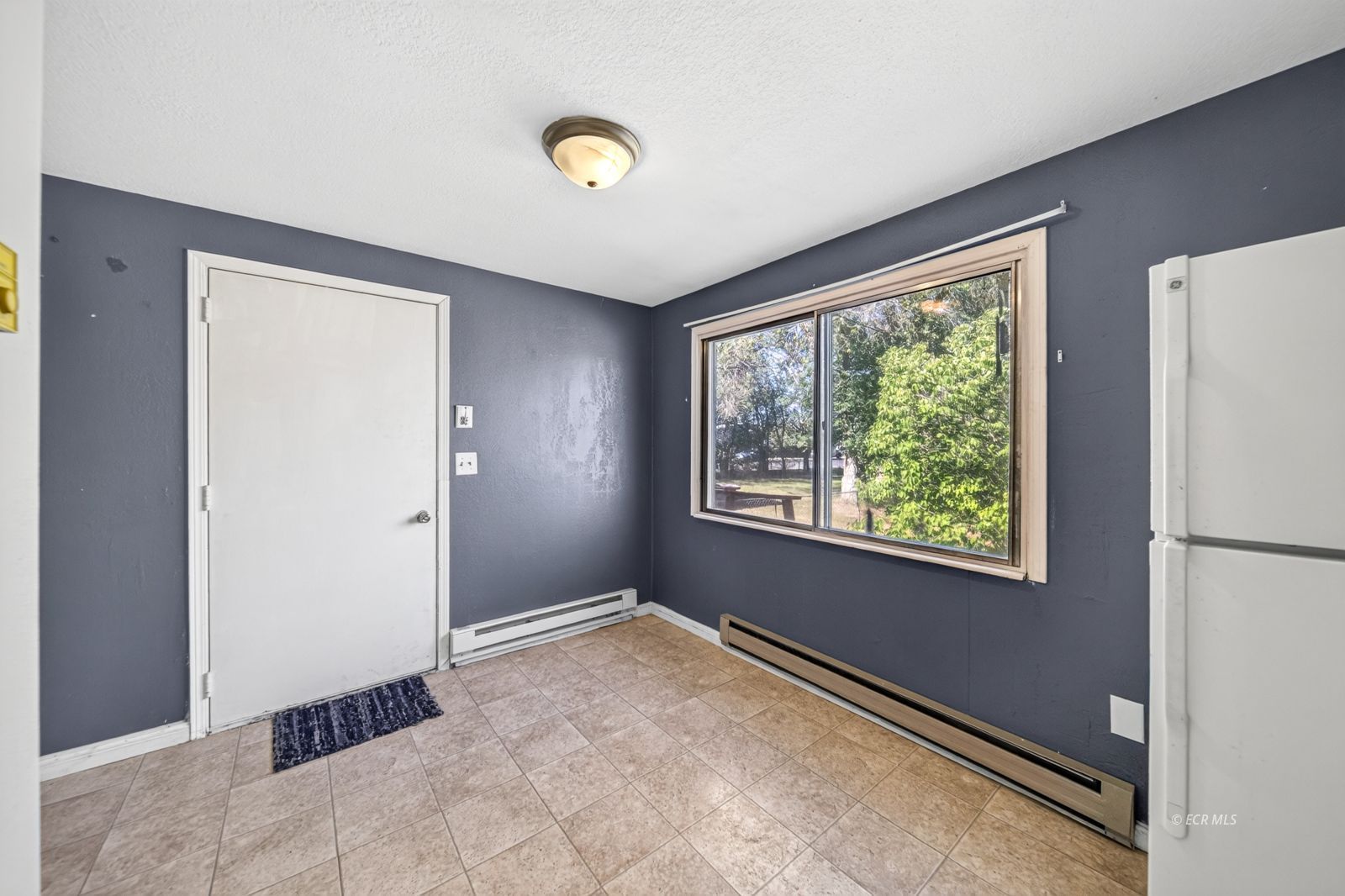 217 4th Street Property Photo 19