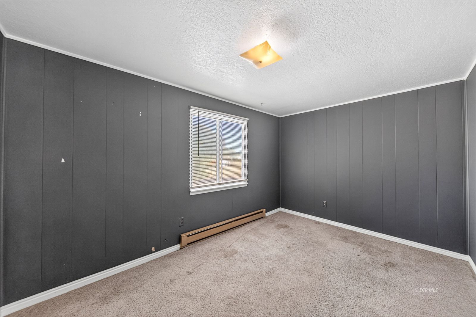 217 4th Street Property Photo 23