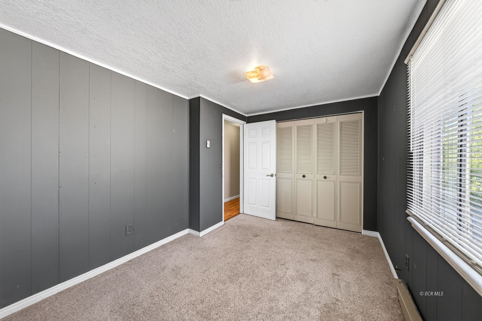 217 4th Street Property Photo 25