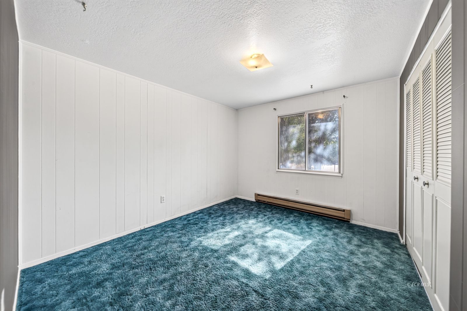 217 4th Street Property Photo 29