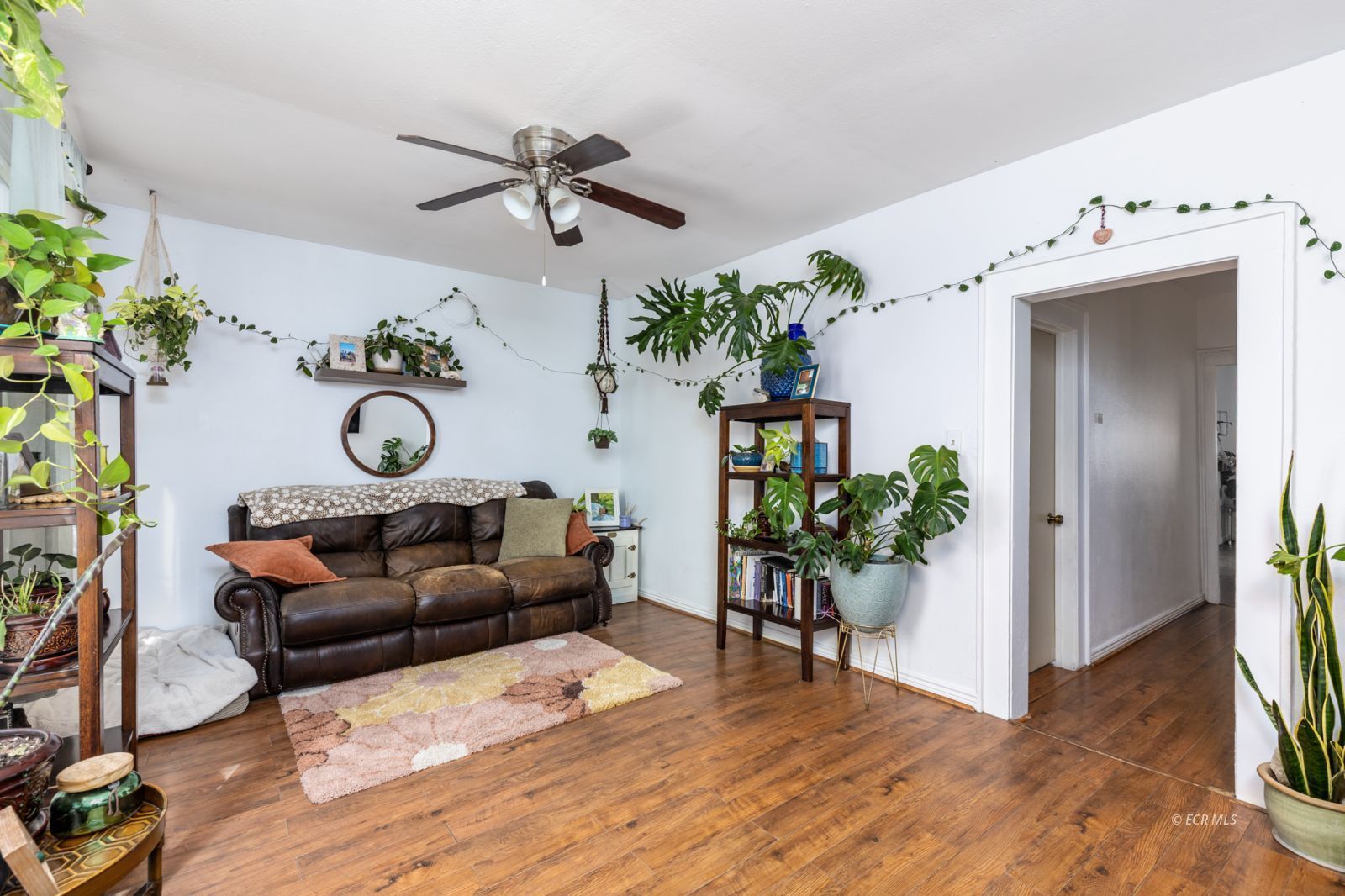 698 6th Street Property Photo 3