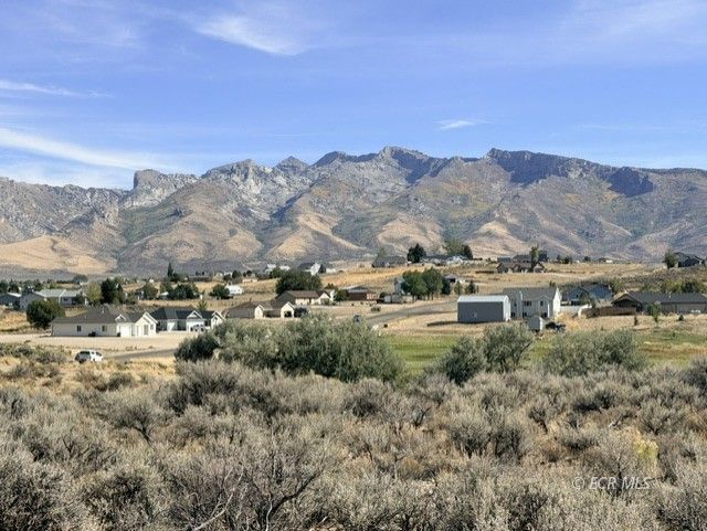 560 Palace Parkway Property Photo 1