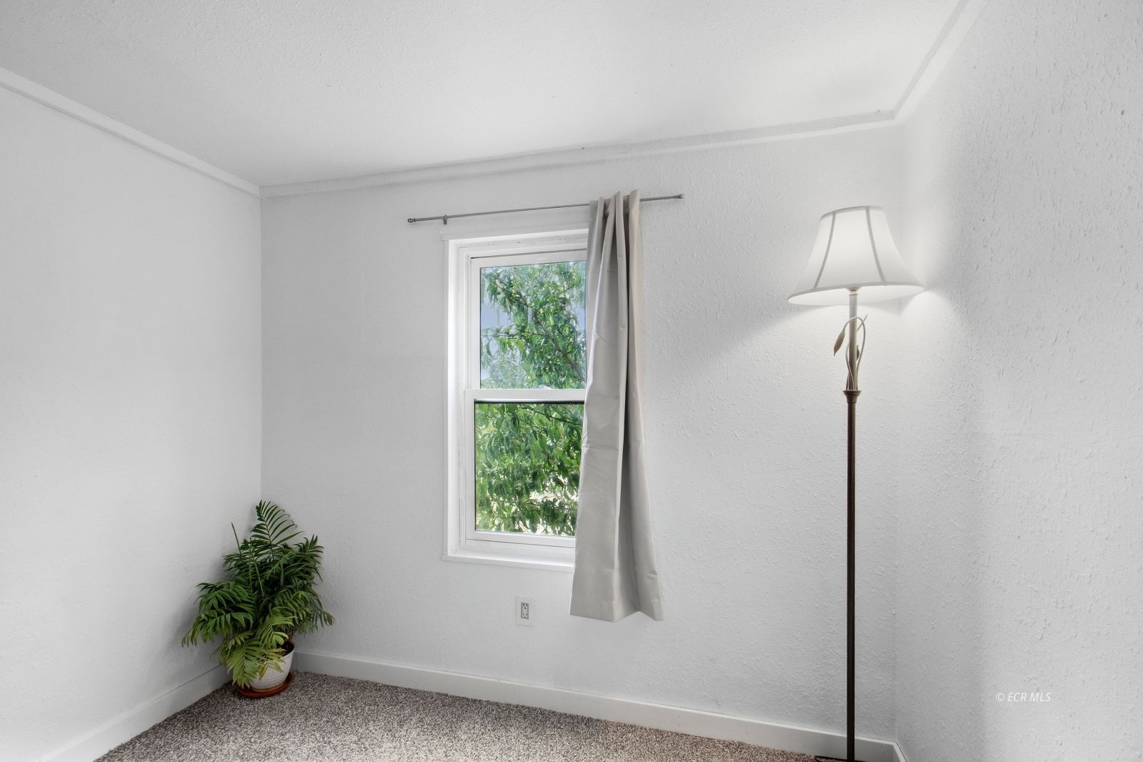 Adams Avenue Property Photo 12