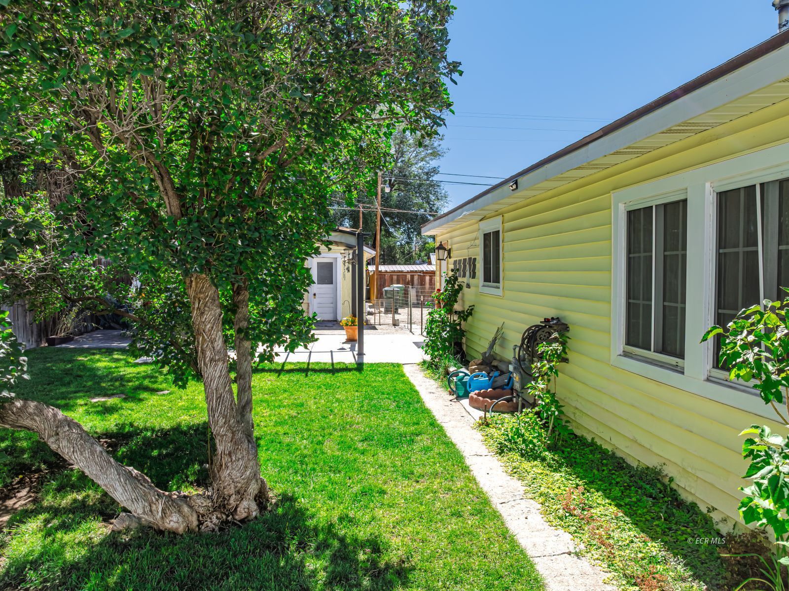 811 Cedar Street Property Photo 35