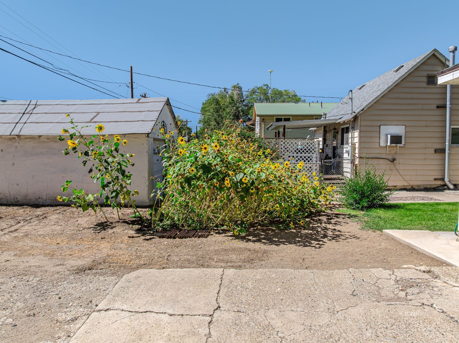 811 Cedar Street Property Photo 41