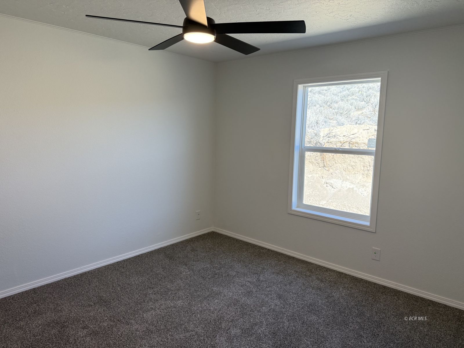 5245 Flower Drive Property Photo 16