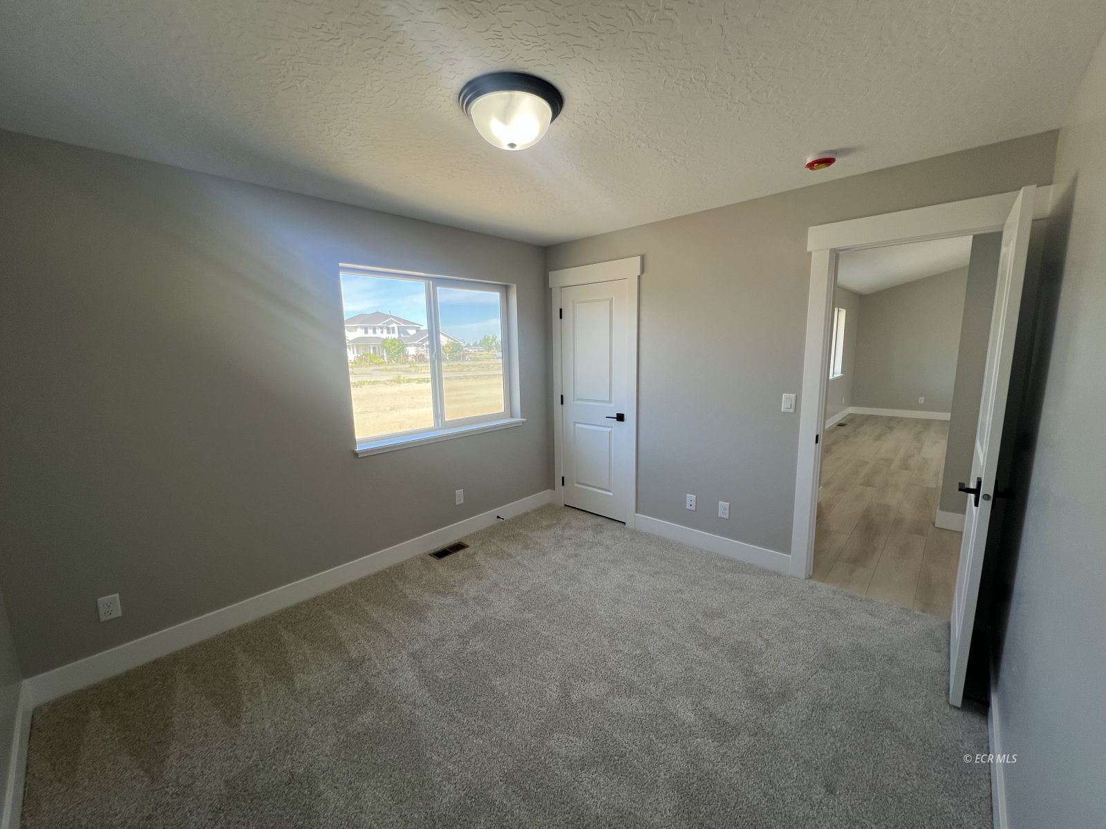 991 Wolf Creek Lane Property Photo 11