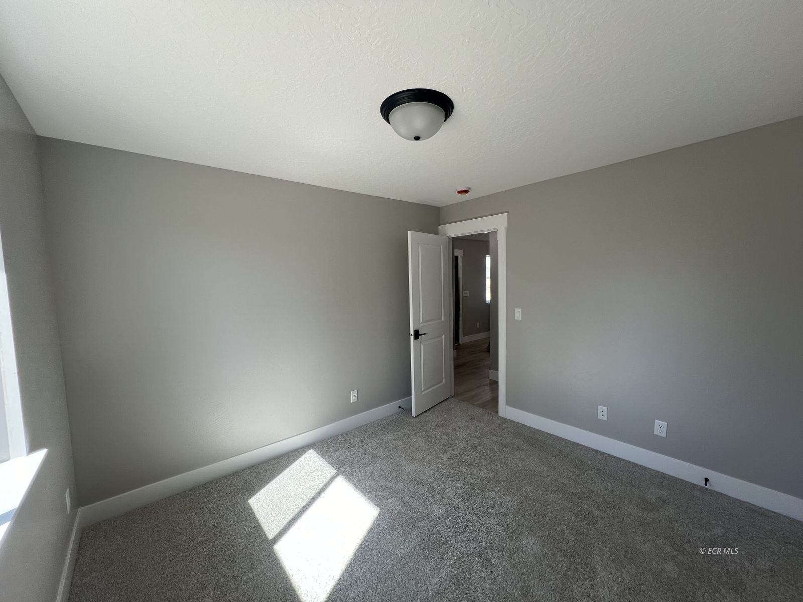 991 Wolf Creek Lane Property Photo 15