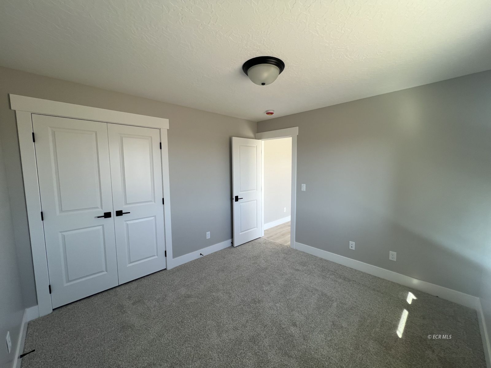 991 Wolf Creek Lane Property Photo 20