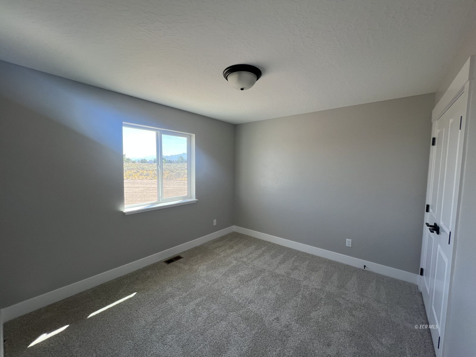 991 Wolf Creek Lane Property Photo 21