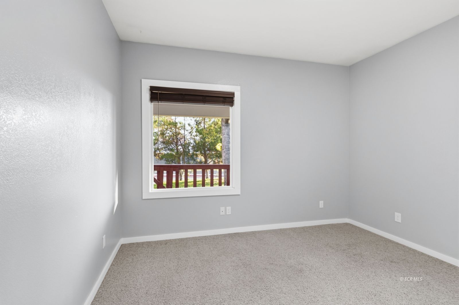 597 4th Street Property Photo 19