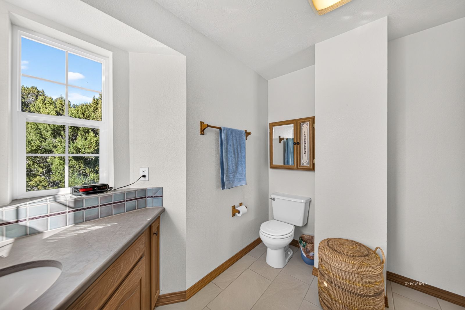 731 Goldenrod Drive Property Photo 27