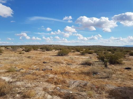 Tbd Borcula Property Photo 2
