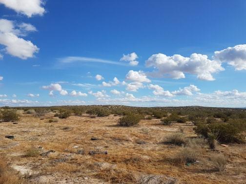 Tbd Borcula Property Photo 4