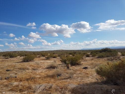 Tbd Venwert Property Photo 2