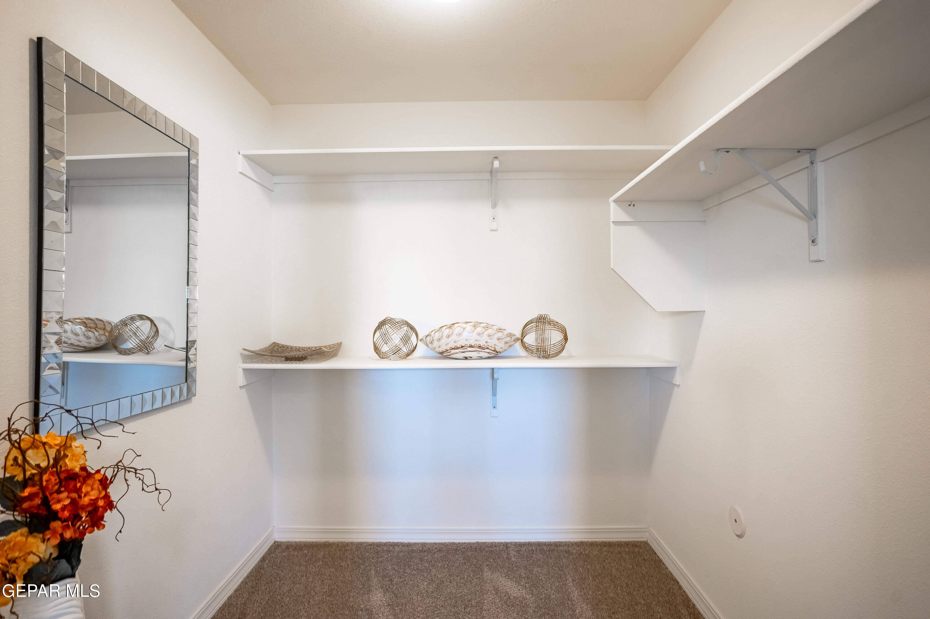 14624 Pebble Hills Boulevard Property Photo 54