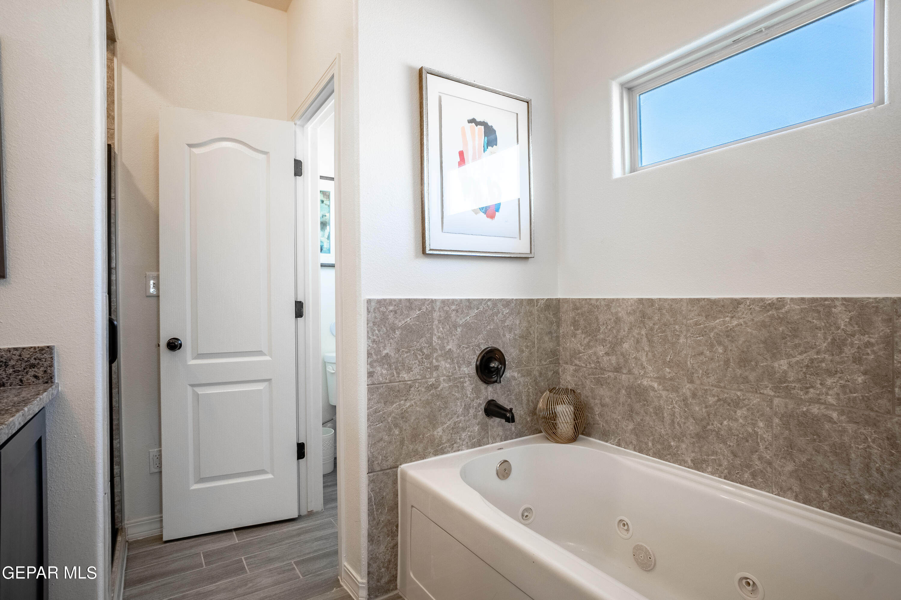 14624 Pebble Hills Boulevard Property Photo 58