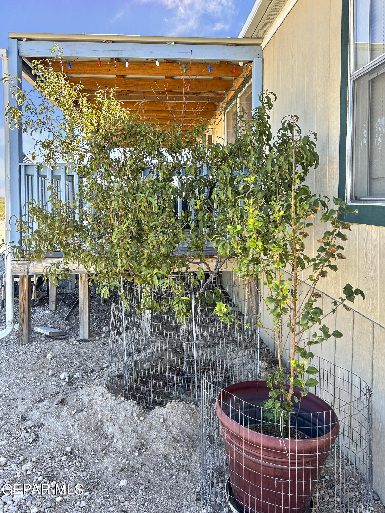 101 Clydesdale Road Property Photo 23