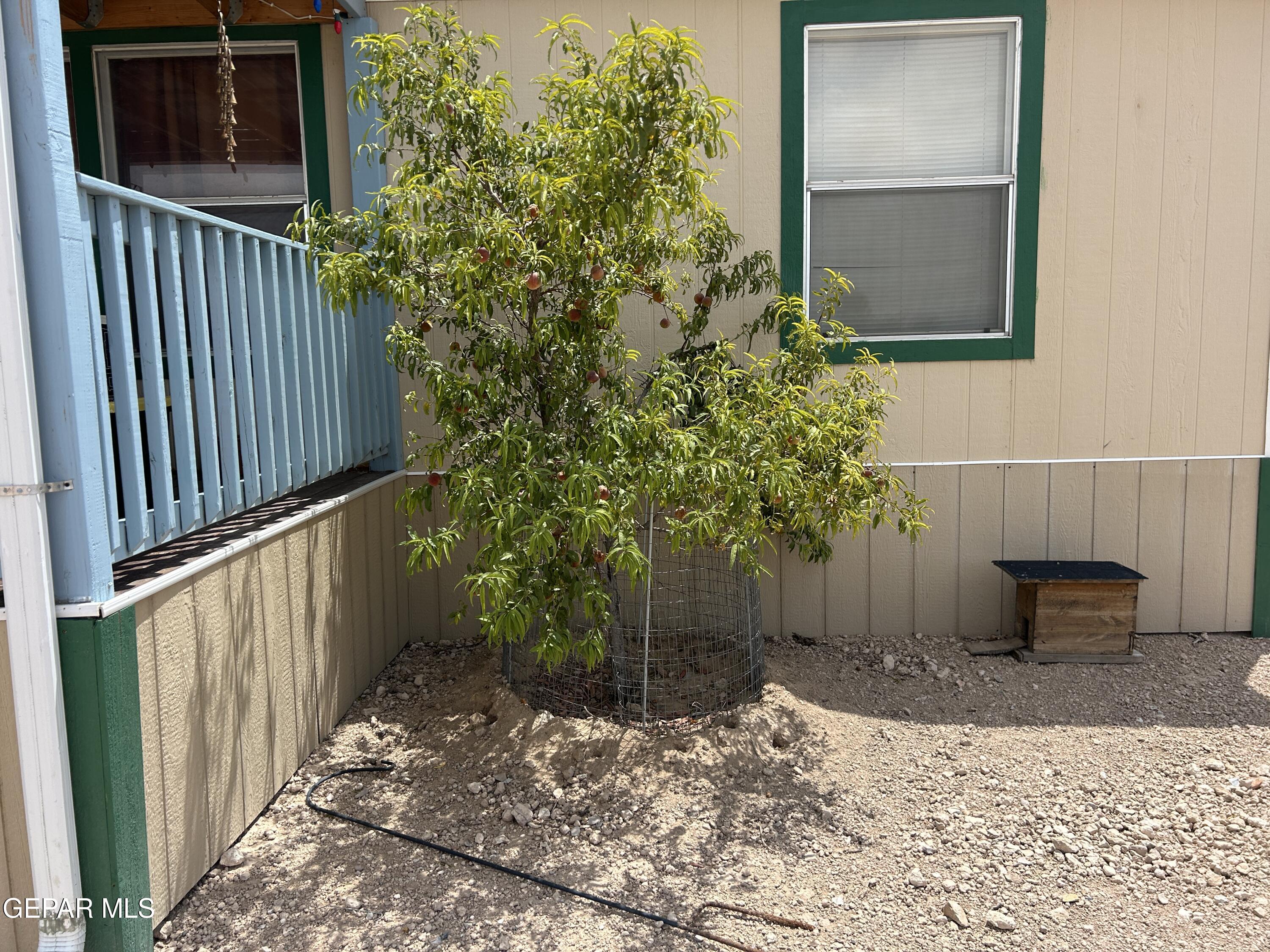 101 Clydesdale Road Property Photo 48