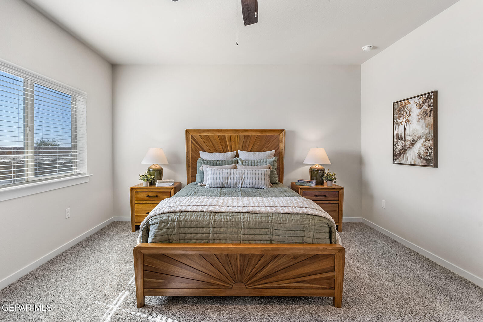 901 Indigo Sky Street Property Photo 19