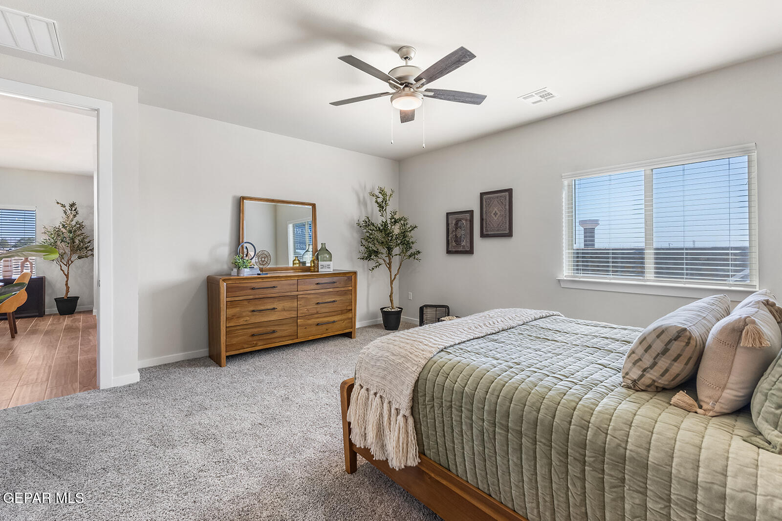 901 Indigo Sky Street Property Photo 20
