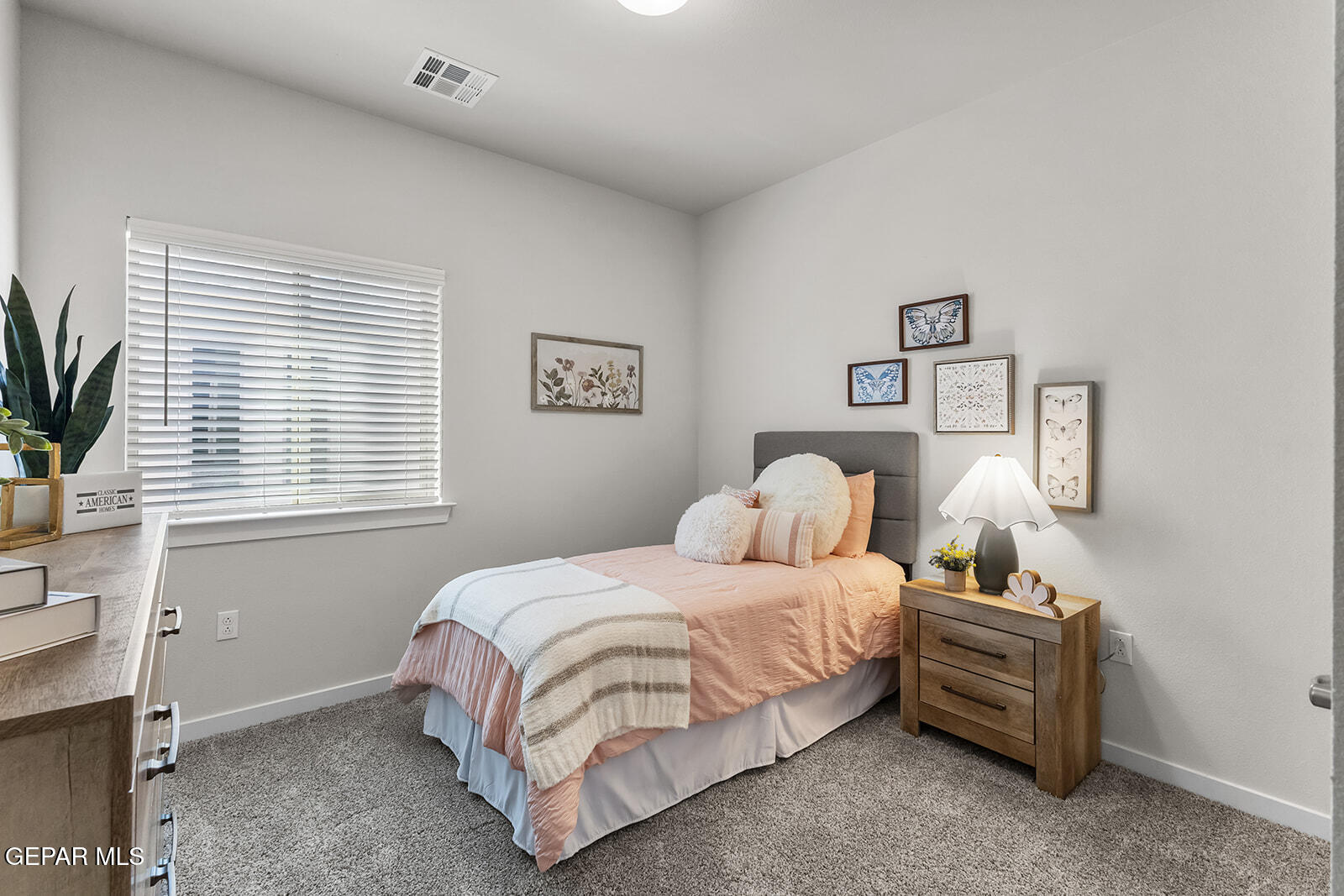 901 Indigo Sky Street Property Photo 31