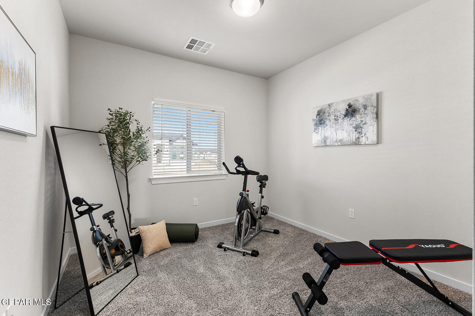 901 Indigo Sky Street Property Photo 33