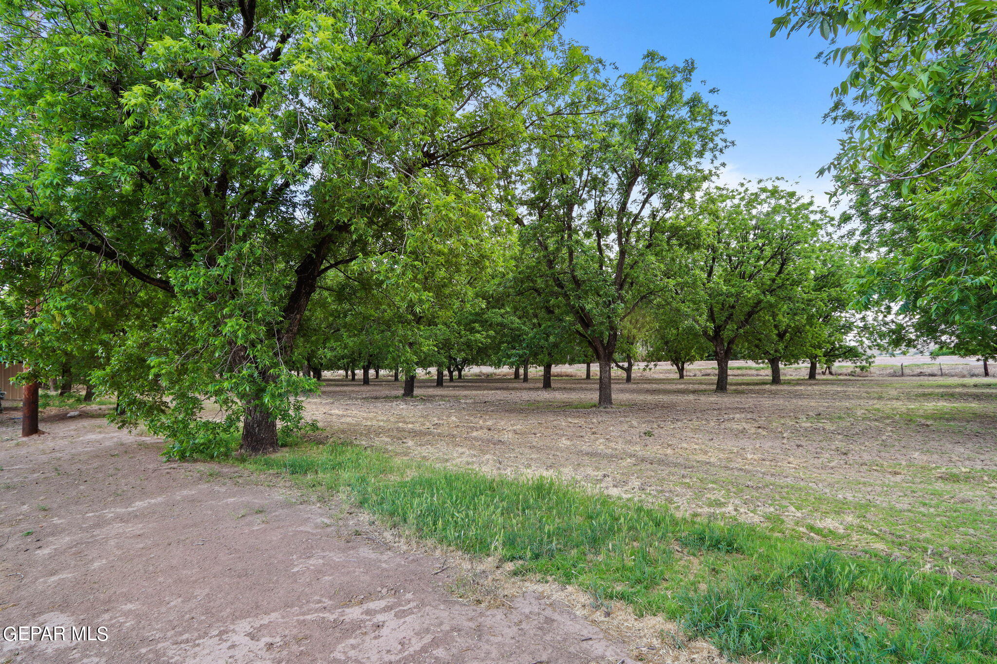 3025/3035 W O'hara Road Property Photo 14