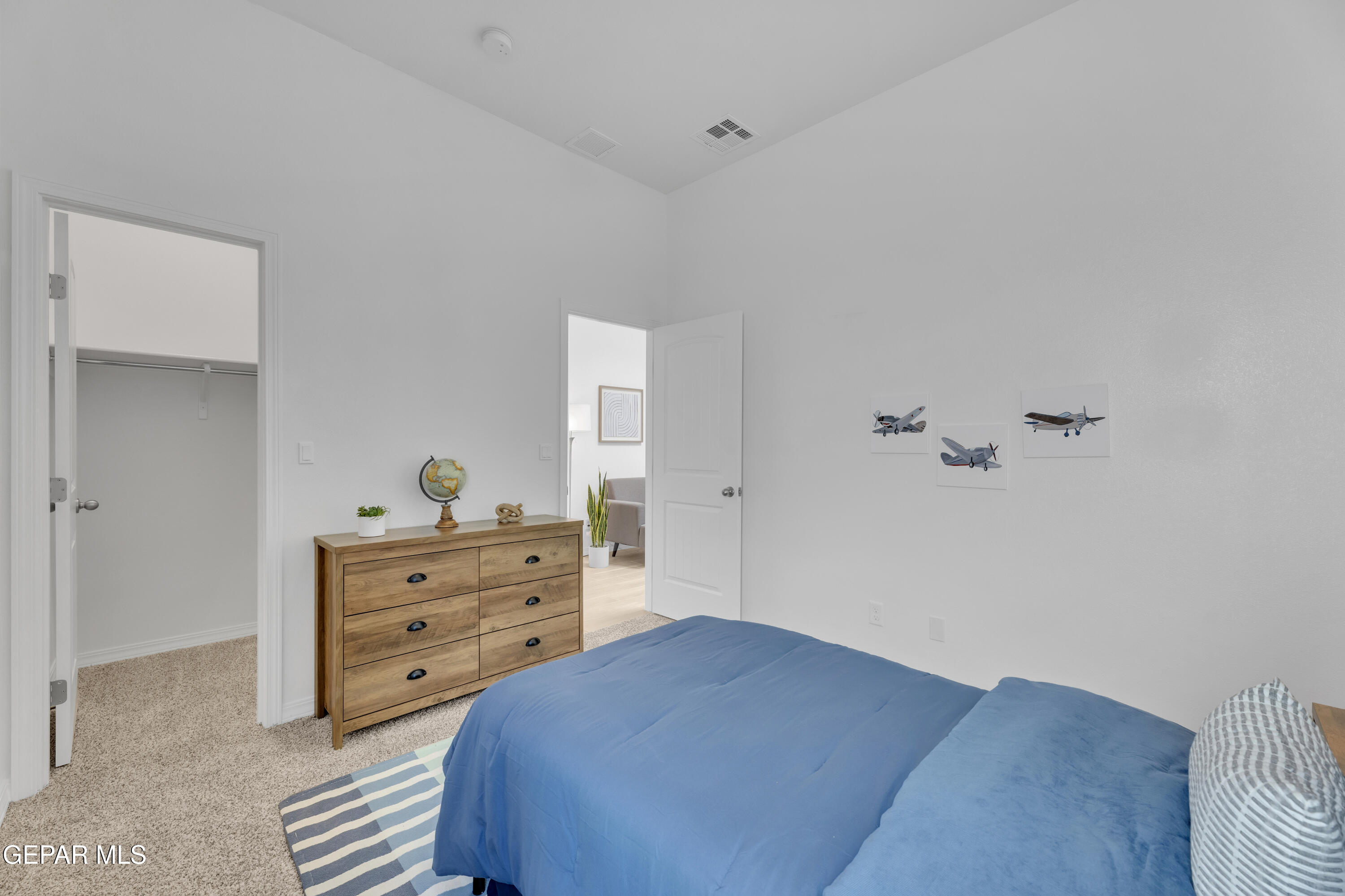 118 Dawson Street Property Photo 18