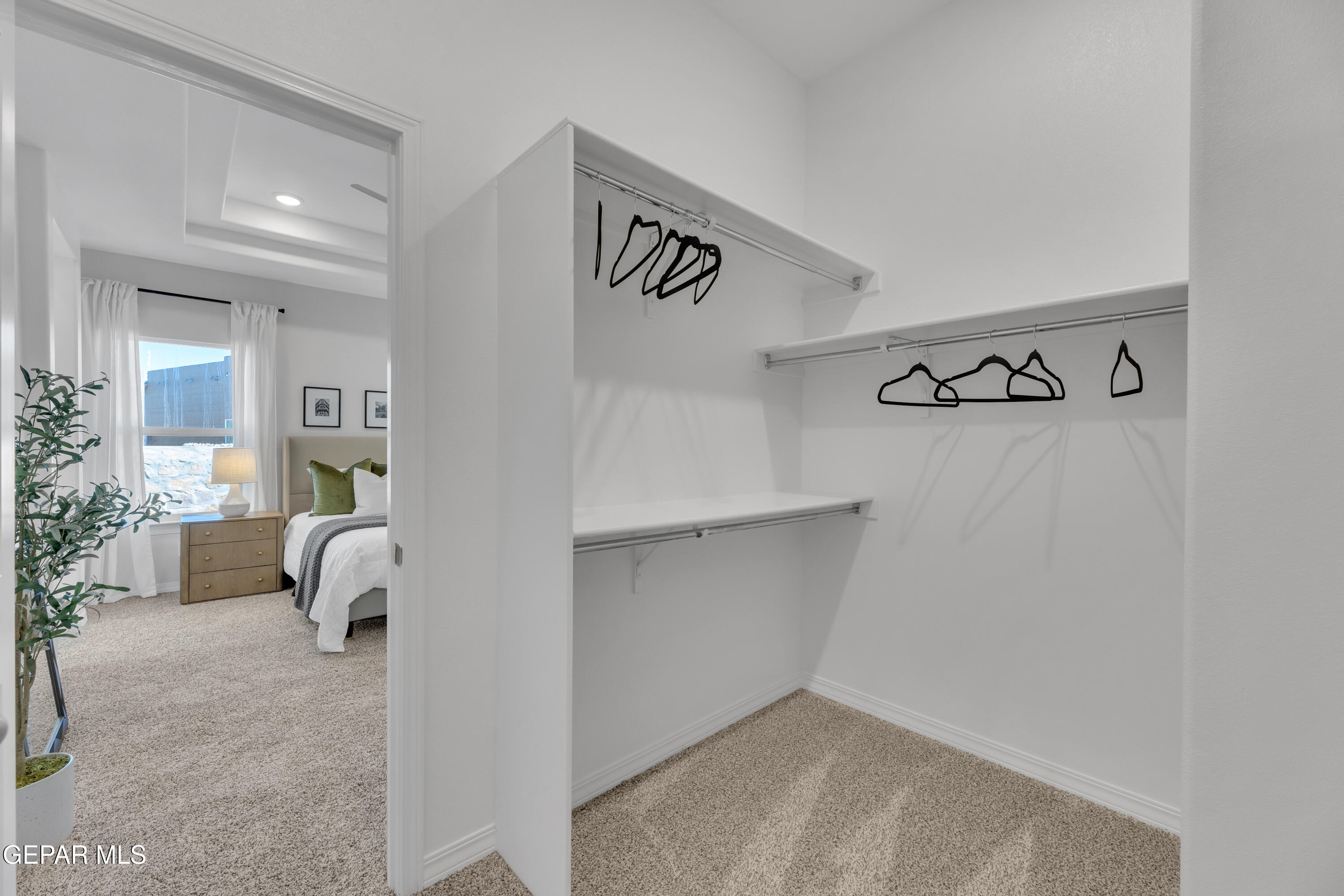 118 Dawson Street Property Photo 23