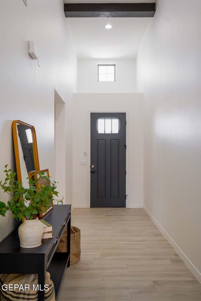 905 Alcestor Place Property Photo 14