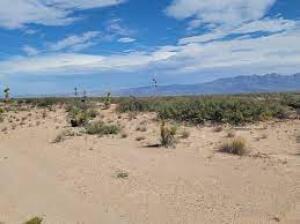 Tbd 69 Tsp 2 Sec 22 T & P Guadalup Property Photo 1