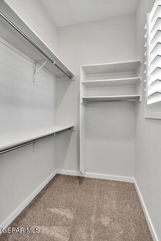 248 Emerald Storm Place Property Photo 4