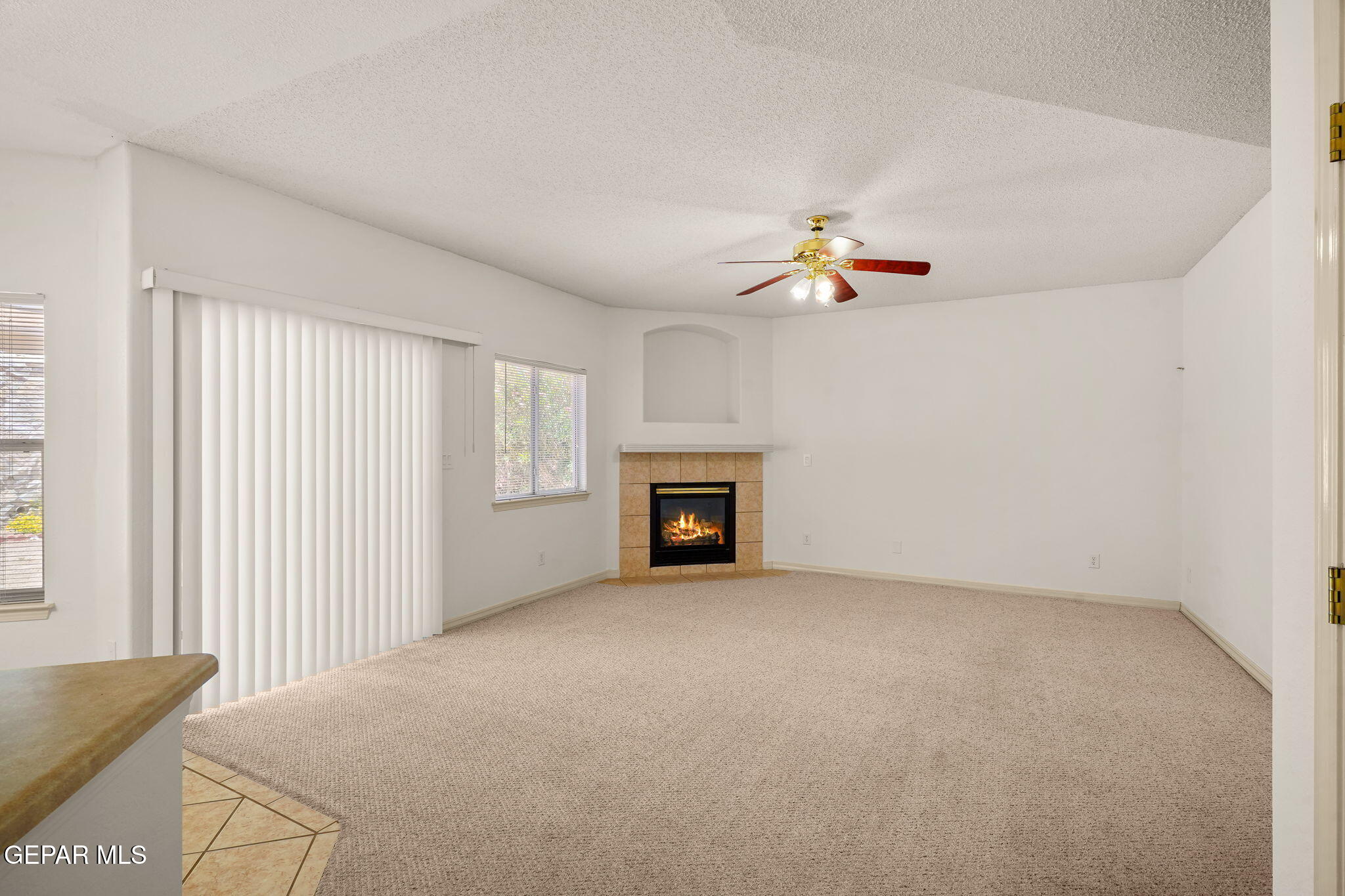2313 Canopy Place Property Photo 11