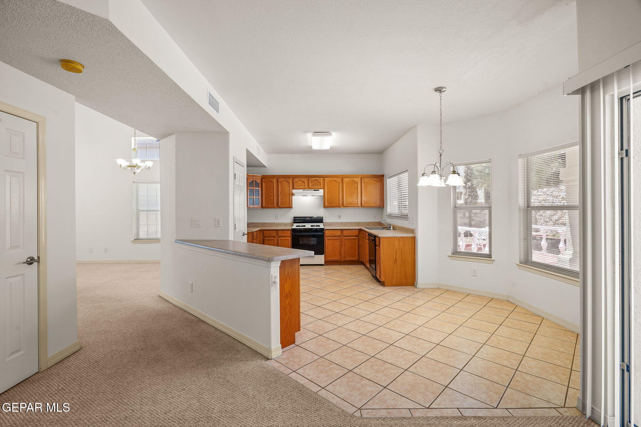 2313 Canopy Place Property Photo 14
