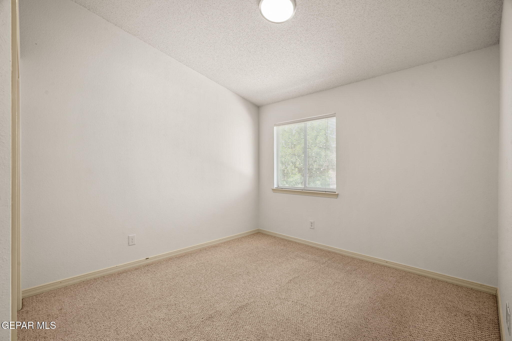 2313 Canopy Place Property Photo 33
