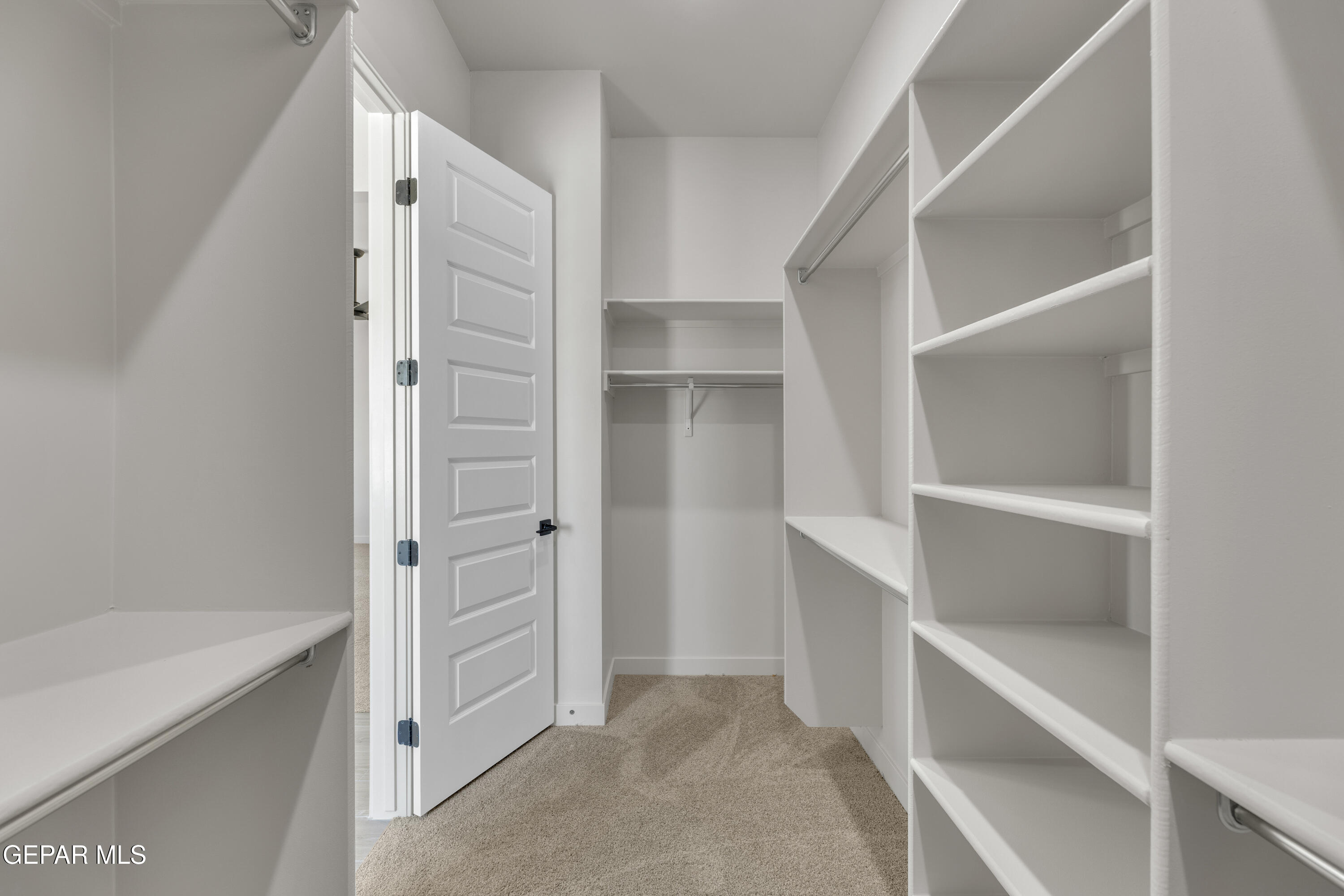 13989 Summer Hail Avenue Property Photo 22