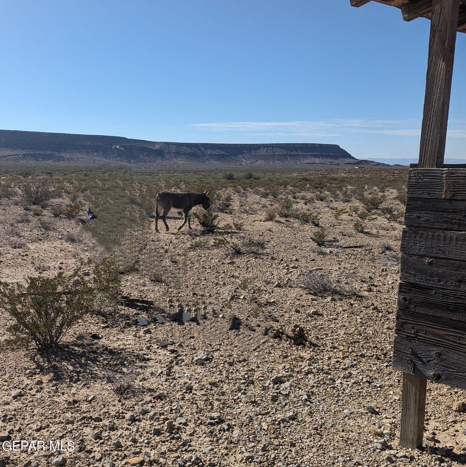 Tbd Tbd 14 Sec 19 Psl Sunset Ranch Property Photo 4