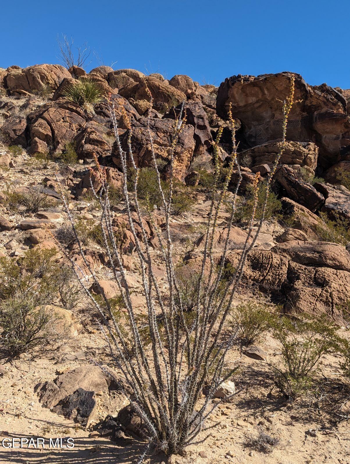 Tbd Tbd 14 Sec 19 Psl Sunset Ranch Property Photo 5