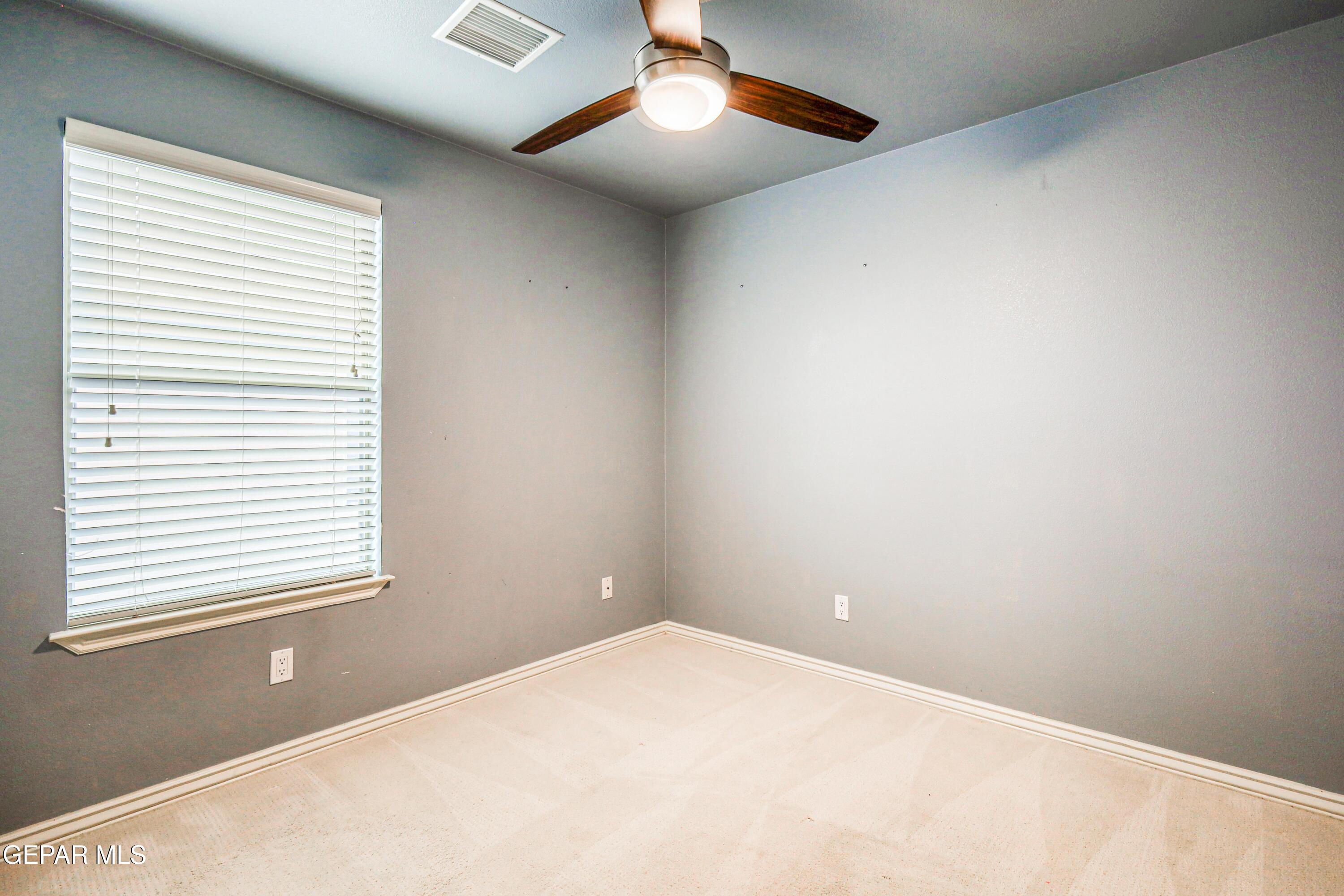 7373 Black Sage Drive Property Photo 59