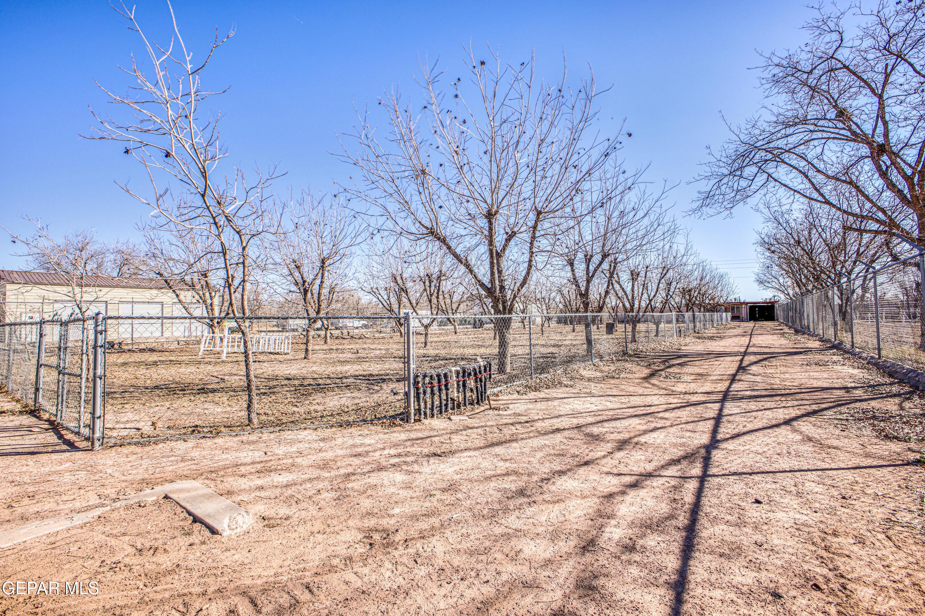 440 James Street Property Photo 50