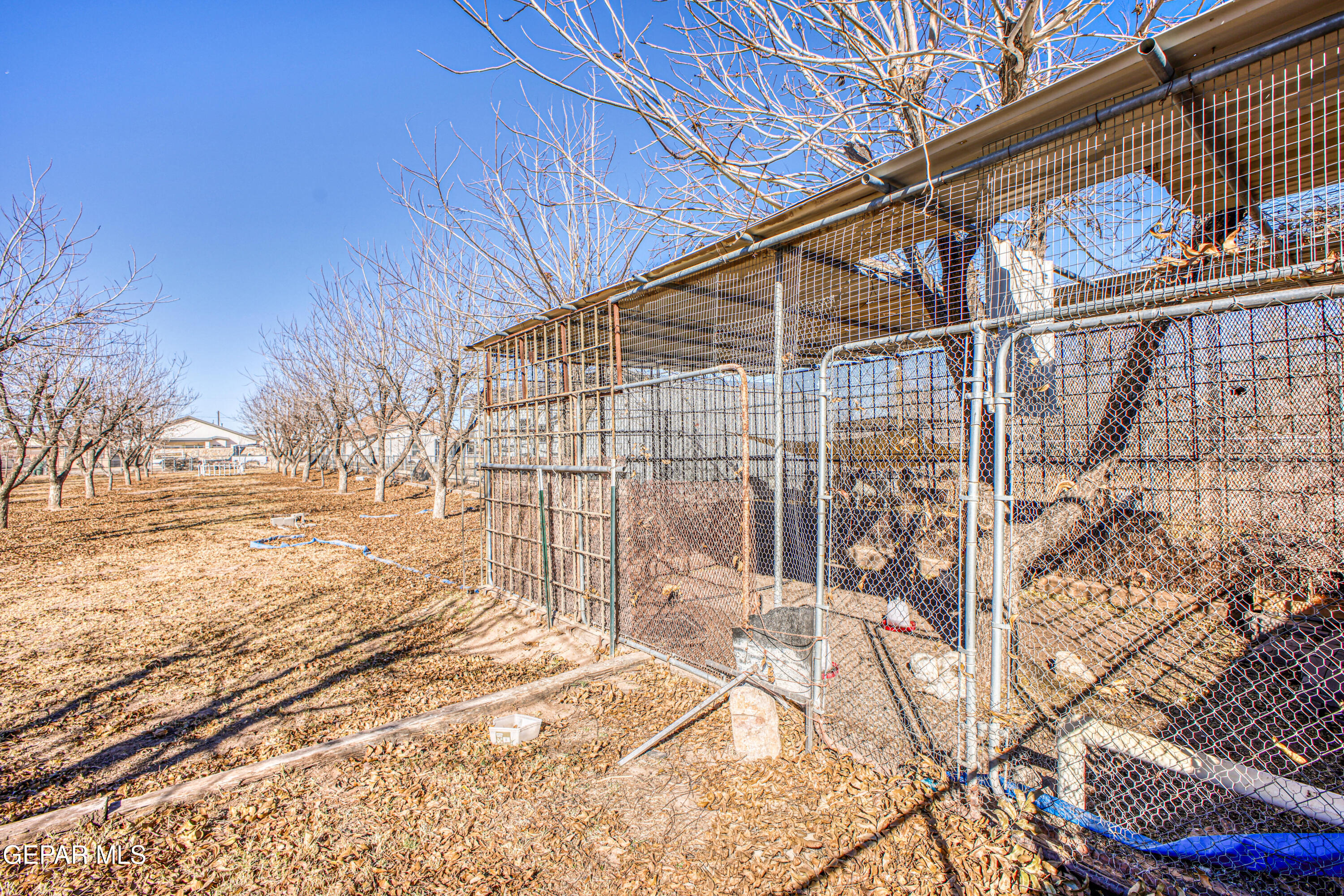 440 James Street Property Photo 62