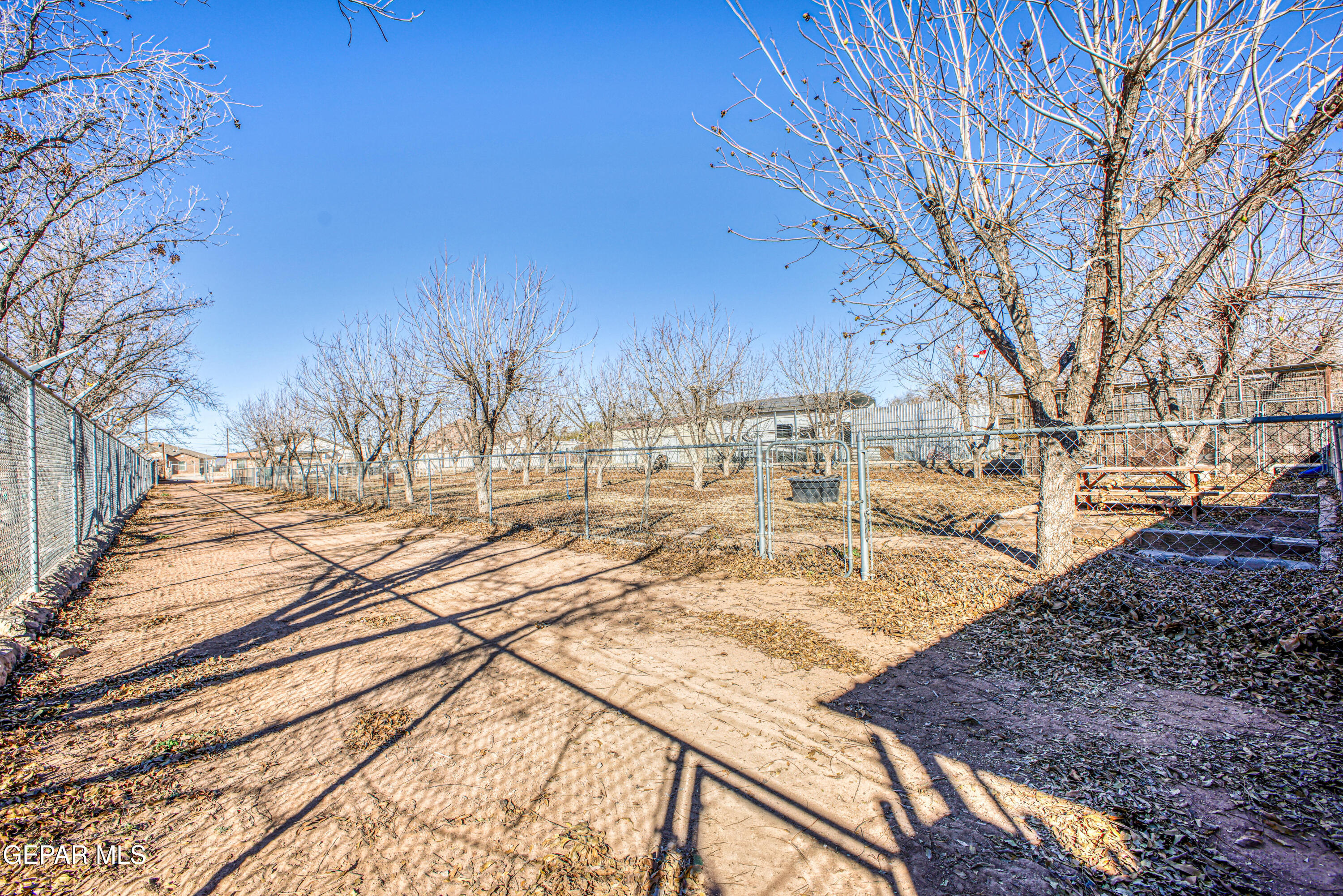 440 James Street Property Photo 63