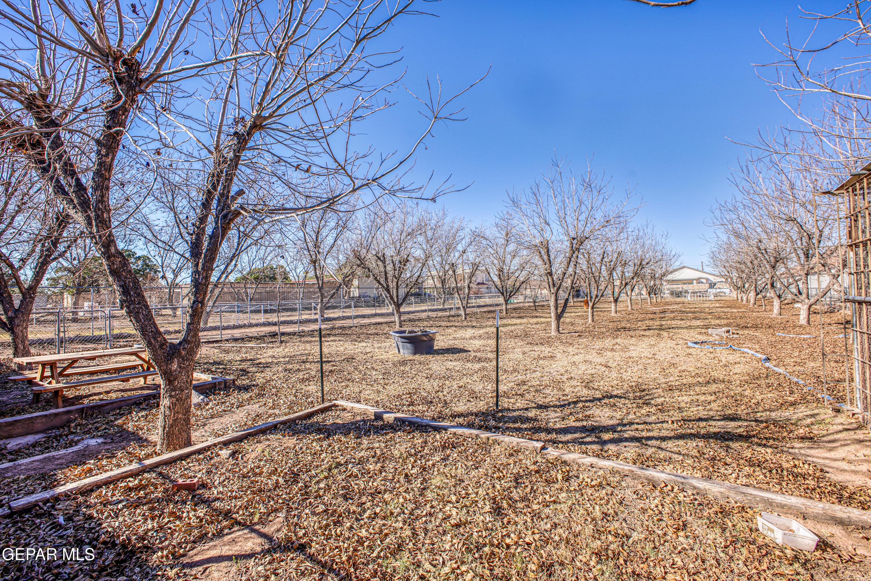 440 James Street Property Photo 64